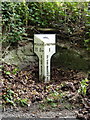 19th century milepost at Hazler