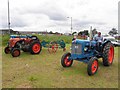 171st Omagh Annual Show (2)