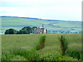 Cropland at Rhynie