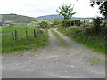 Farm access lane off Market Road