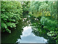 River Eden west of Hever Bridge