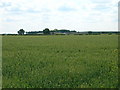 Farmland off Beningbrough Lane