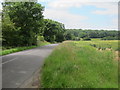 Field by Clay Hall Road