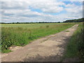 Field and track off Common Road