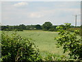 Farmland, Raskelf Moor