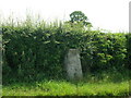 Trig point, New Road