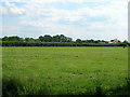 Farmland off Thirsk Road