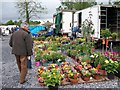 H4420 : Plant stall at Clogher Saturday Market, Co Fermanagh by Eric Jones