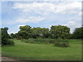 Village  Pond  Ellerton