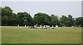 Cricket, Wandsworth Common