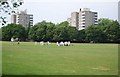 Cricket, Wandsworth Common