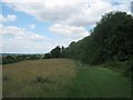 Darenth Meadow