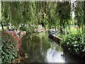 Stream in Abbey Gardens