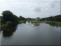 S5549 : Weir on River Nore at Bennetts Bridge by John M