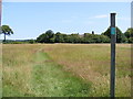 Footpath to the Causeway