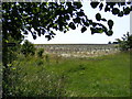 Footpath to Moor Road