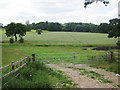 Fields off Leighton Road