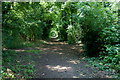 Public Bridleway at Clock House, Surrey