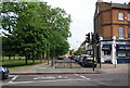 Dorlcote Rd