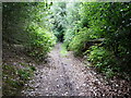 The Byway, Stedlands Hill, nearing its junction with Scotland Lane Haslemere