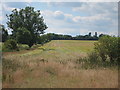 Fields off Moulton Lane