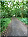 Apley Park track in The Knolls Coppice