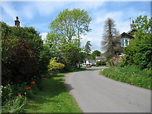 NY4526 : In Dacre village by David Purchase