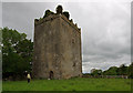 N2938 : Castles of Leinster: Donore, Westmeath (1) by Mike Searle
