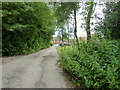 Footpath through the middle of Lythe Hill Hotel complex