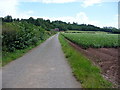 Footpath beside a potato field near Eaton Hill, Leominster