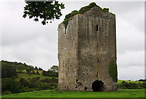 S3686 : Castles of Leinster: Gortnaclea, Laois (3) by Mike Searle