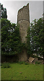 N5838 : Castles of Leinster: Castle Jordan, Meath (2) by Mike Searle