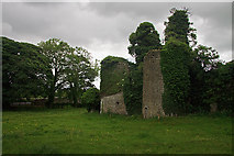 N5838 : Castles of Leinster: Castle Jordan, Meath (3) by Mike Searle
