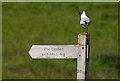 A signpost to The Castles and Windy Rig