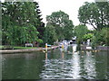 Inlet at Teddington