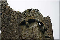 S2184 : Castles of Leinster: Garranmaconly, Laois (3) by Mike Searle