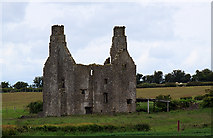 S2685 : Castles of Leinster: Grange More, Laois (1) by Mike Searle