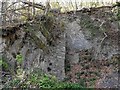 Small quarry on the edge of Porthouse Wood