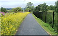 ST3290 : Pathside yellow, National Cycle Route 88, Caerleon by Jaggery