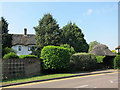 Thatched house