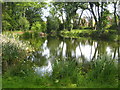 SU7769 : Pond in Mill Lane Sindlesham by Rod Allday