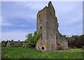 S0366 : Castles of Munster: Borrisoleigh, Tipperary (1) by Mike Searle