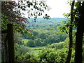 Valley view from west side of Black Down