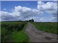 Mollinhead Farm track