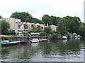 Eel Pie Island, Twickenham