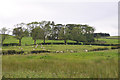 Farmland near Meikle Kirkland