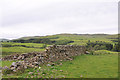 Ruined wall and view to Scaur Farm