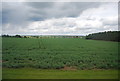 Large crop field near Lincoln Lodge