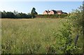 Grass Field, Wellesbourne