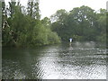 The downstream tip of Romney Island